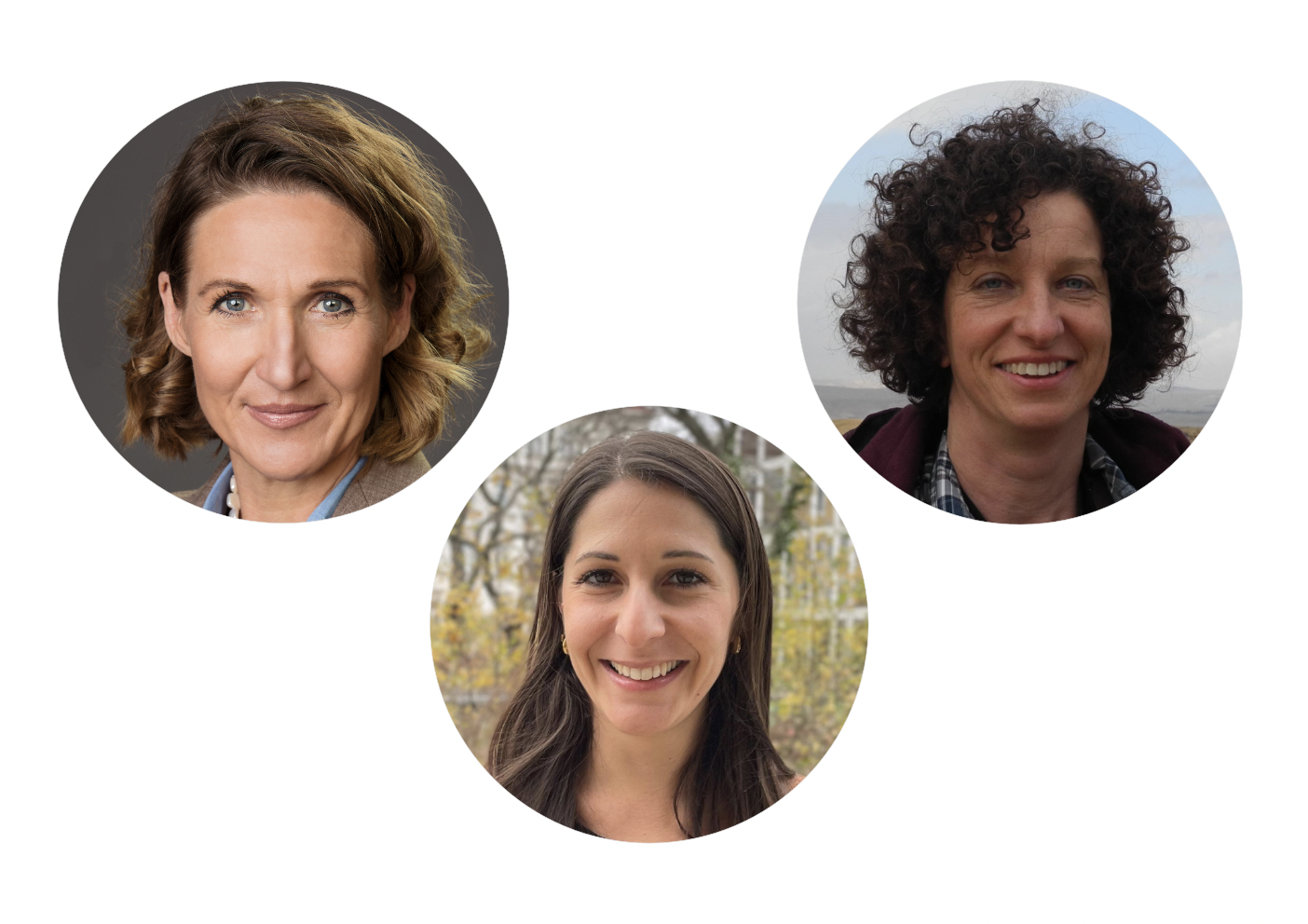 Biopatinas on buildings in urban environments: biofilters, CO2 sinks and cooling...